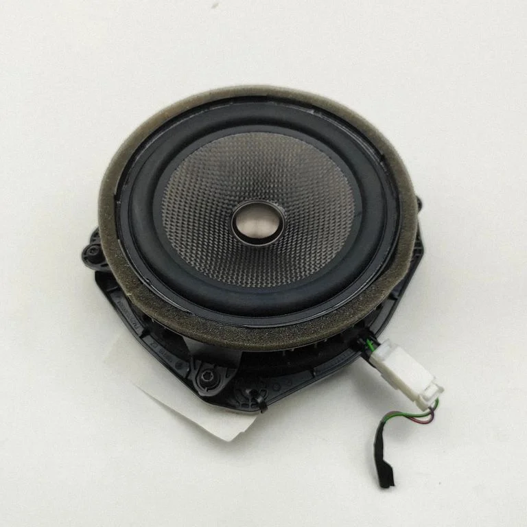 Skaļrunis (-ņi) priekšējās durvīs FM2970300085A