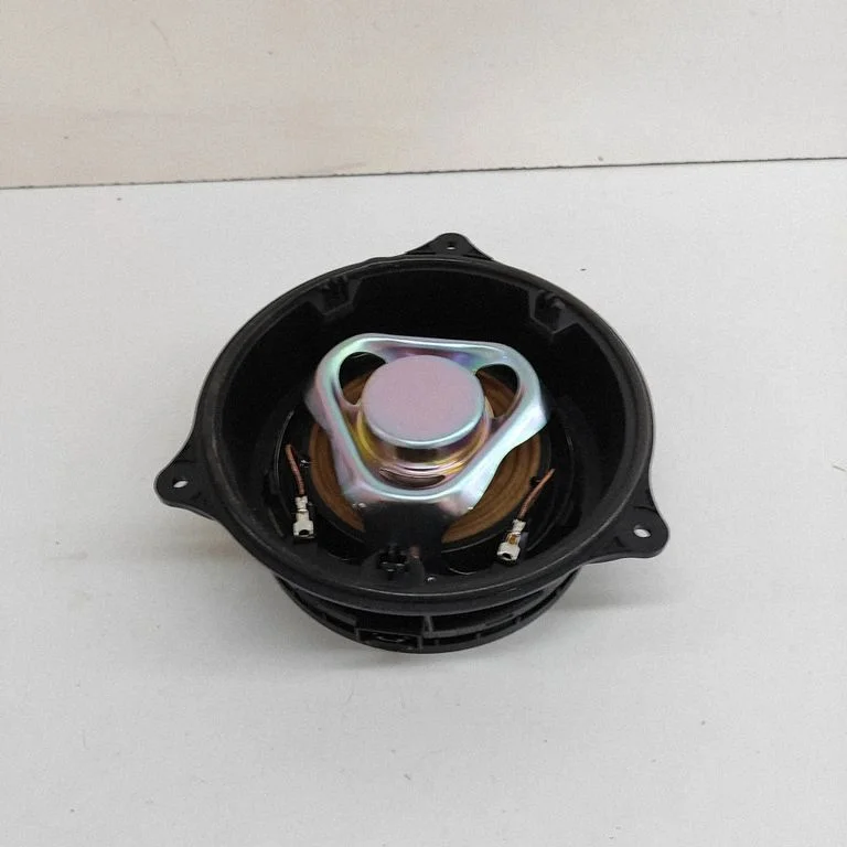 Skaļrunis (-ņi) priekšējās durvīs M9R318808NC