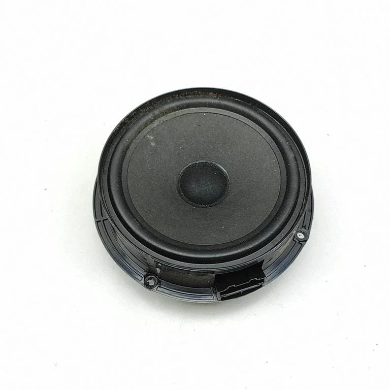 Garsiakalbis (-iai) priekinėse duryse
