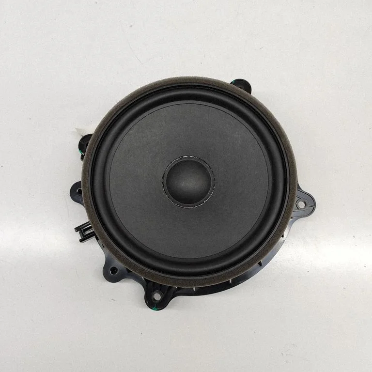 Skaļrunis (-ņi) priekšējās durvīs 107974400E