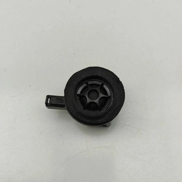 Front door speaker