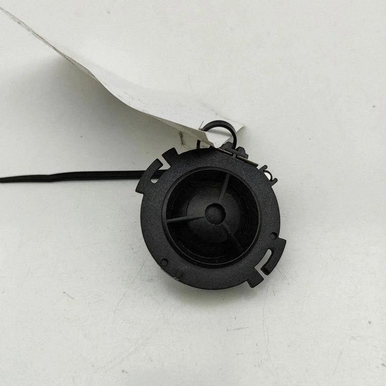 Skaļrunis (-ņi) priekšējās durvīs 8T0035399