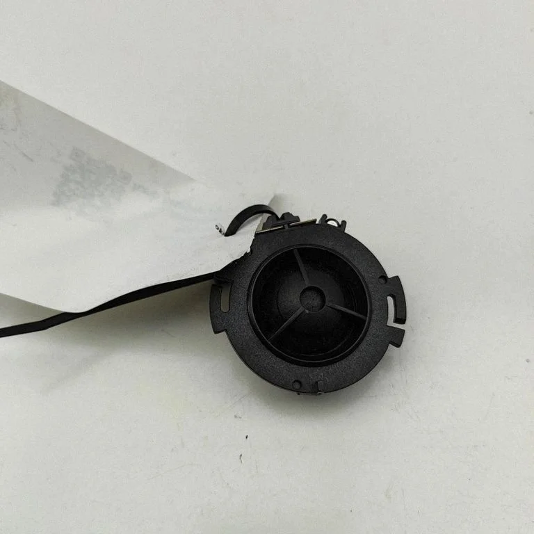 Skaļrunis (-ņi) priekšējās durvīs 8T0035399