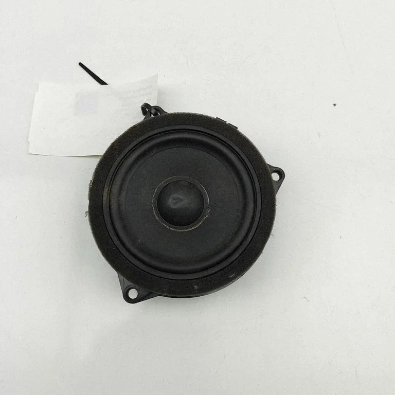 Skaļrunis (-ņi) priekšējās durvīs 2622518