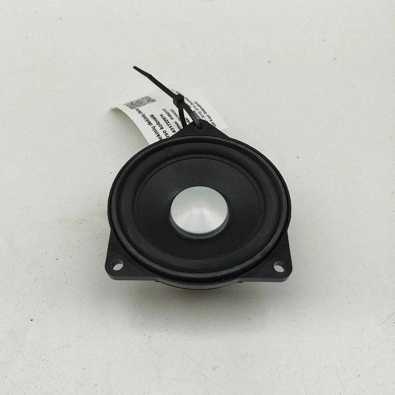 Głośnik w drzwiach przednich 9169690