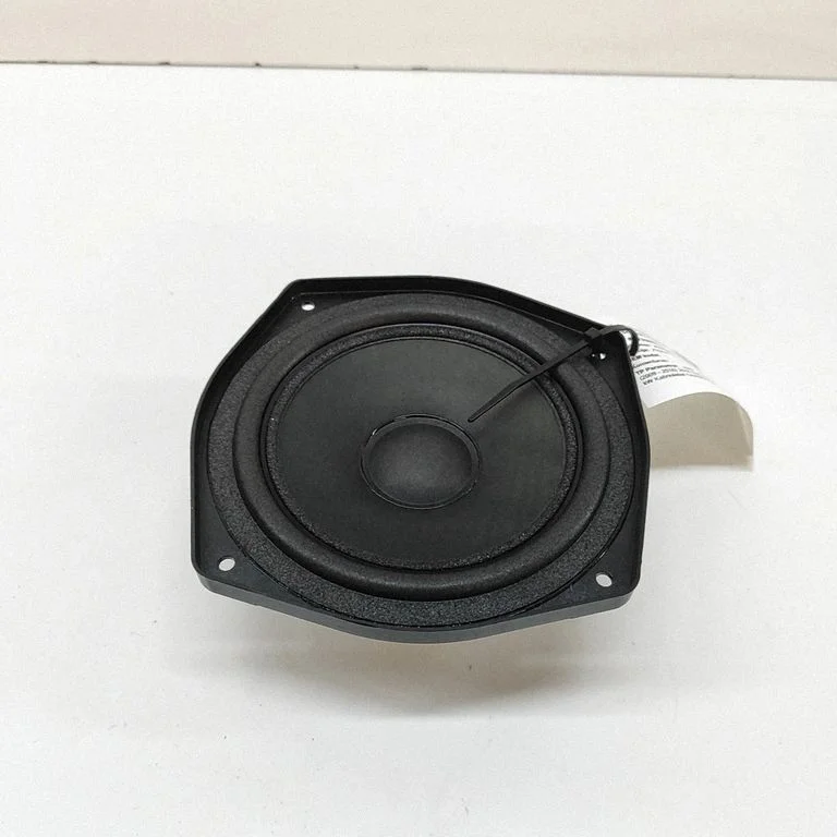 Skaļrunis (-ņi) priekšējās durvīs 9181819