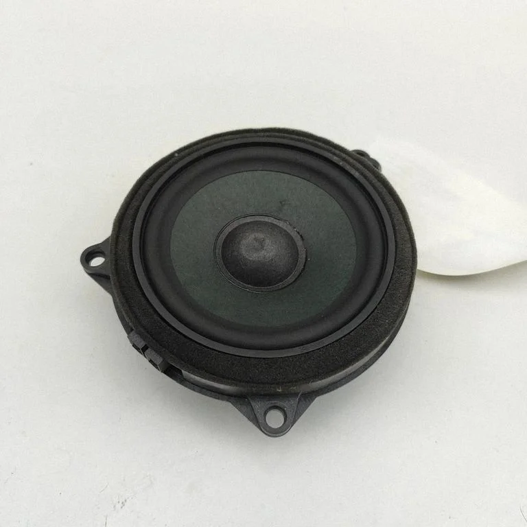 Skaļrunis (-ņi) priekšējās durvīs 2622518