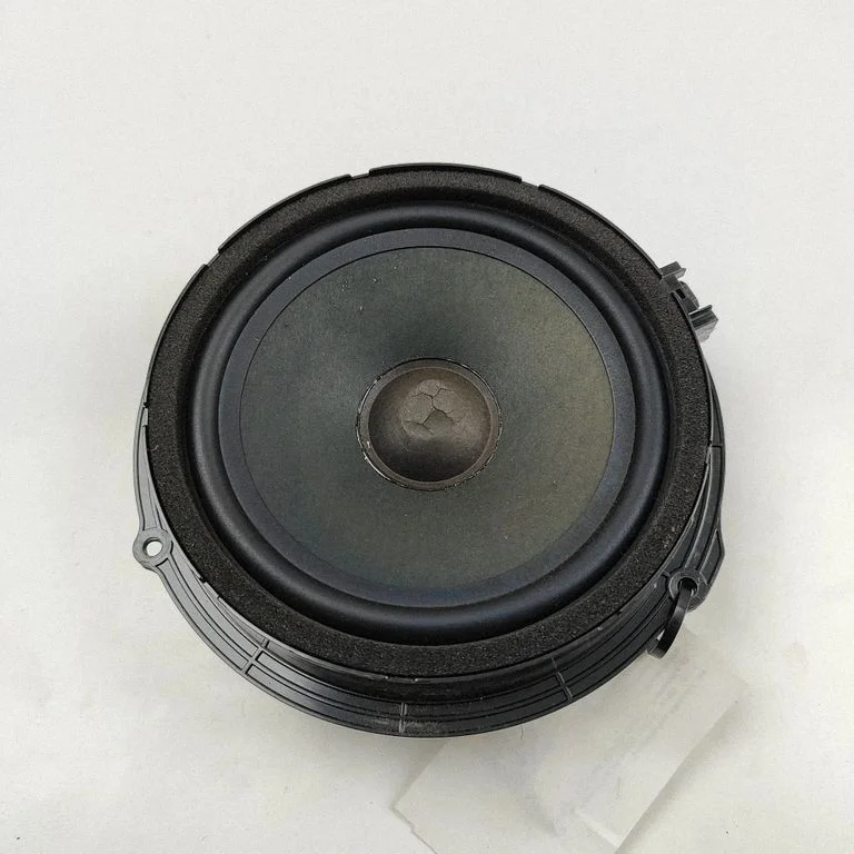 Skaļrunis (-ņi) priekšējās durvīs 430407771191
