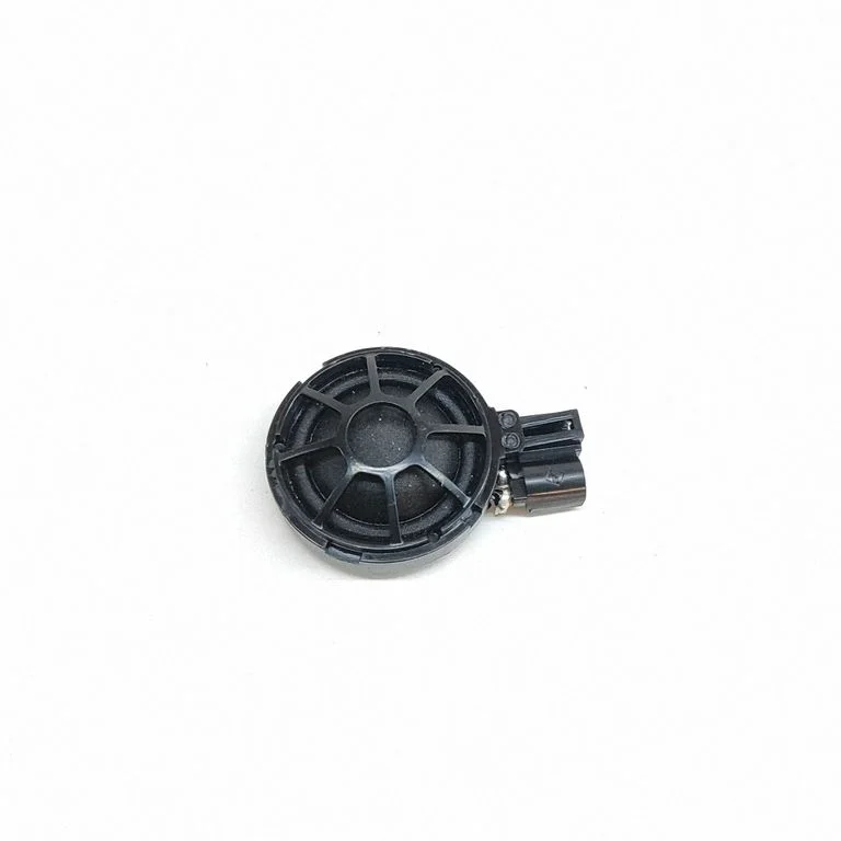 Esiukse kõlar(id) 100483300A