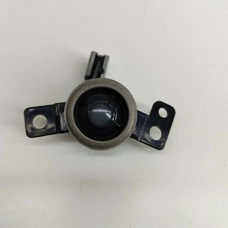 Front door speaker – Hyundai Kona I (2017-2023)