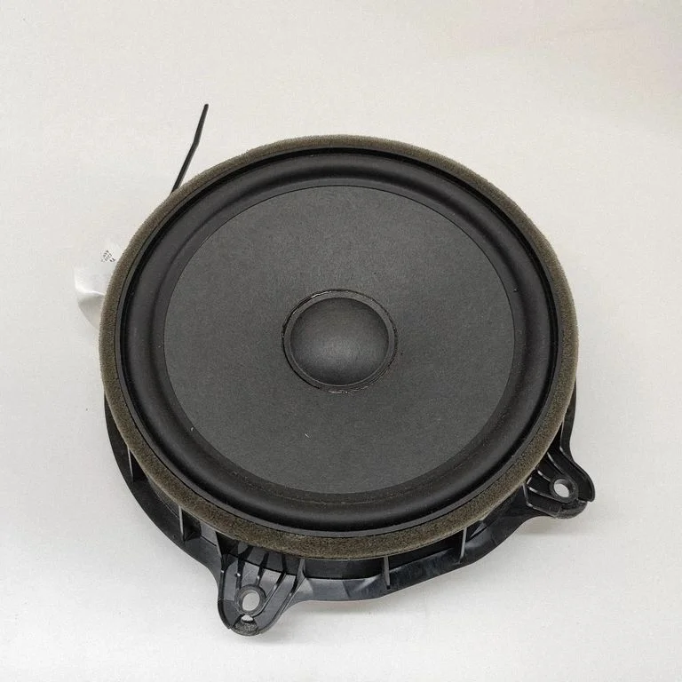 Skaļrunis (-ņi) priekšējās durvīs 107974400E