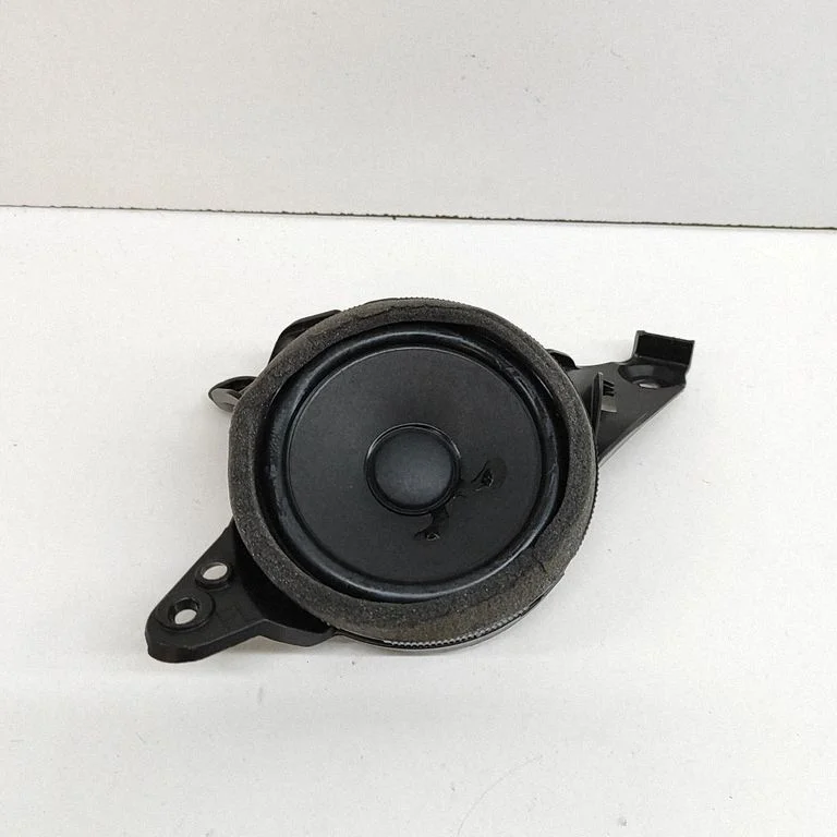 Skaļrunis (-ņi) priekšējās durvīs A2238201300