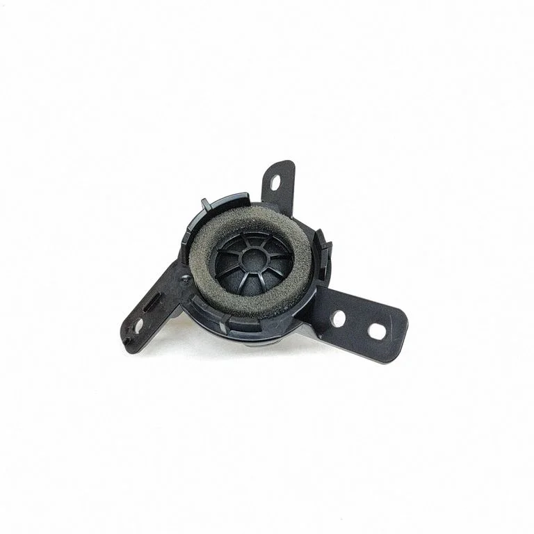 Skaļrunis (-ņi) priekšējās durvīs 25419J0502