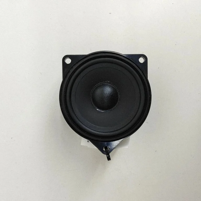 Front door speaker – BMW X5 E70 (2006-2013)