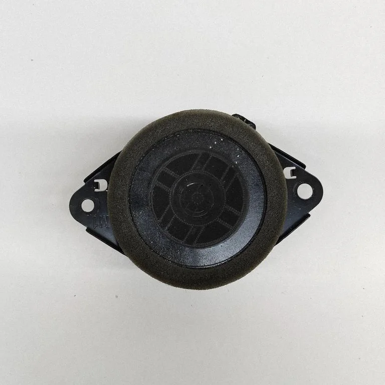 Front door speaker 861600WV80