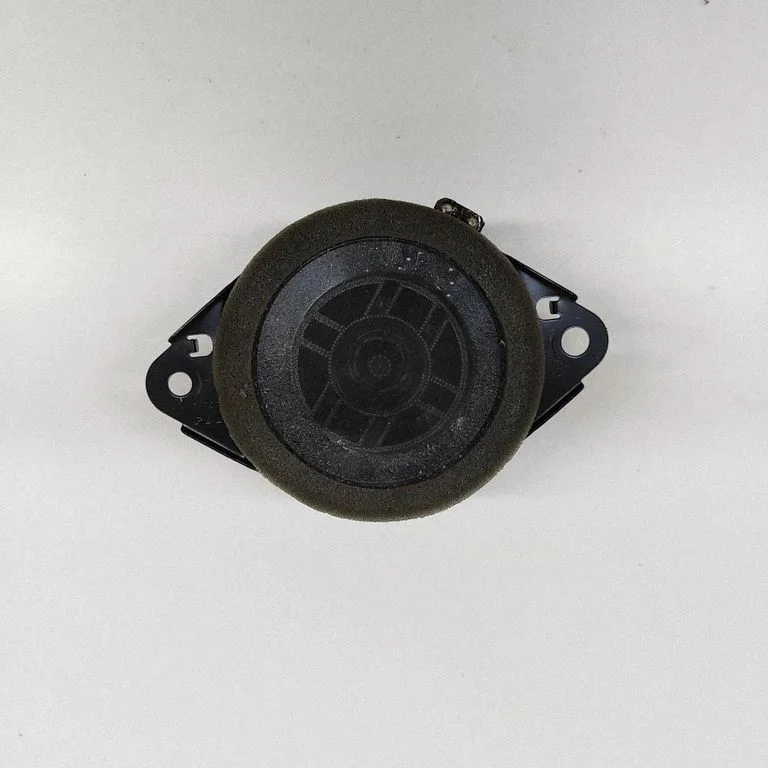Front door speaker 861600WV80