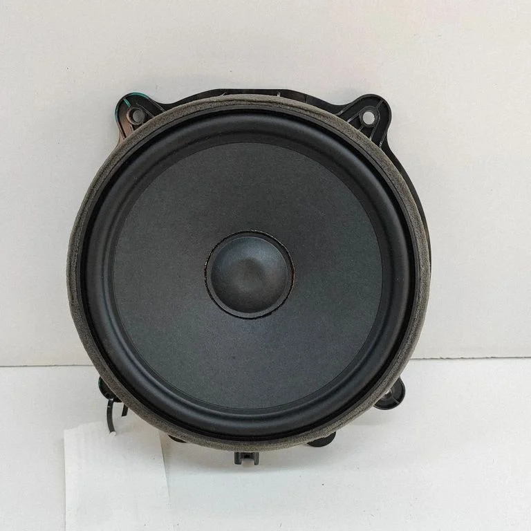 Skaļrunis (-ņi) priekšējās durvīs 107974400E