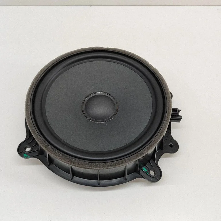 Skaļrunis (-ņi) priekšējās durvīs 107974400E