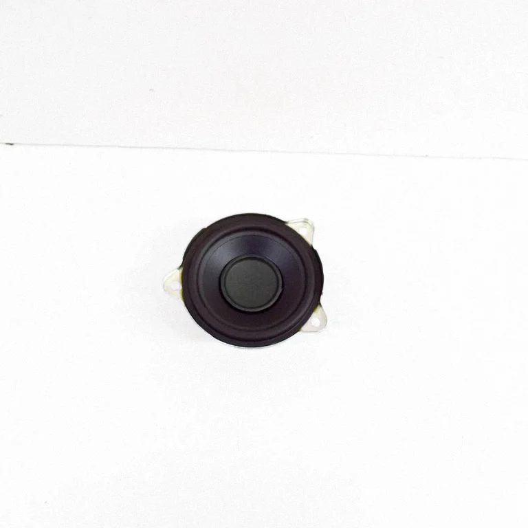 Skaļrunis (-ņi) priekšējās durvīs GX7318808BA