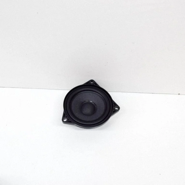 Front door speaker 107974200A