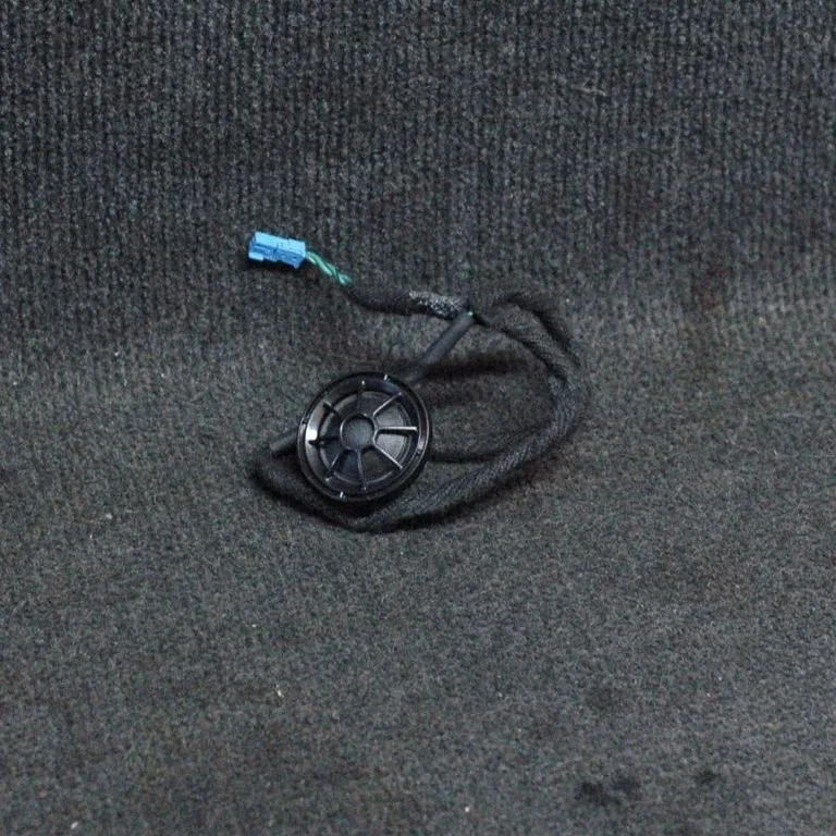 Front door speaker