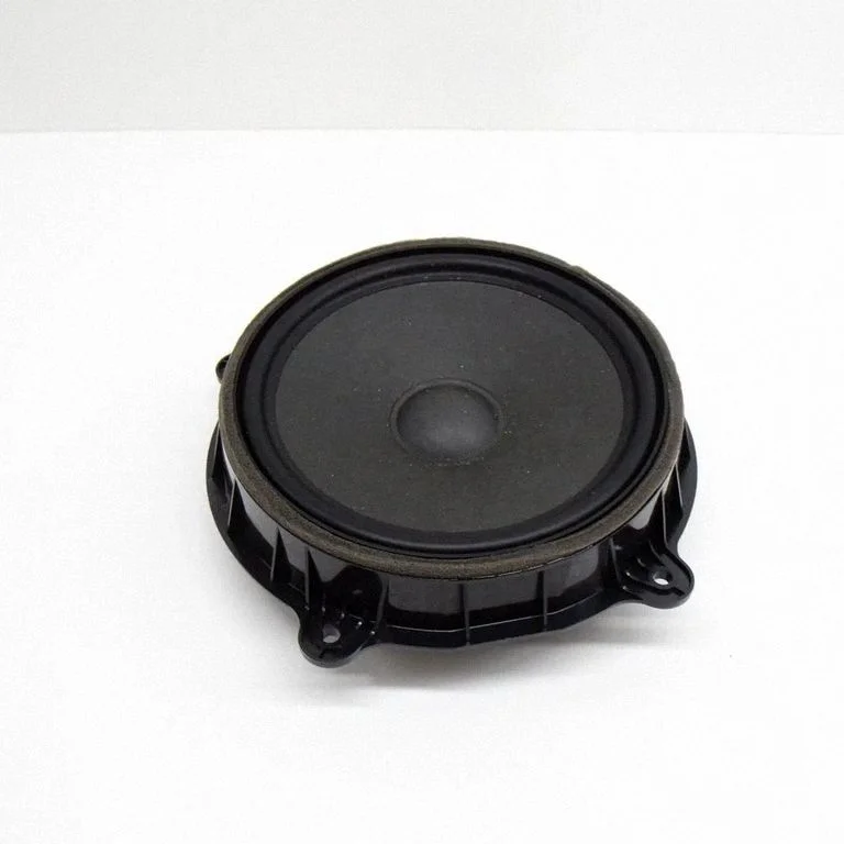 Front door speaker 107974400D