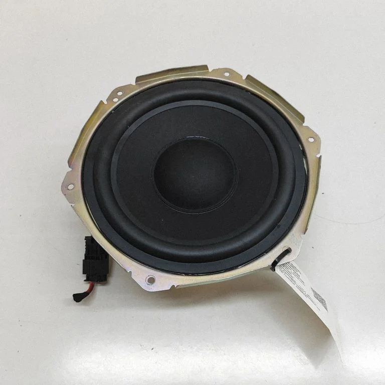 Subwoofer speaker 100483307B