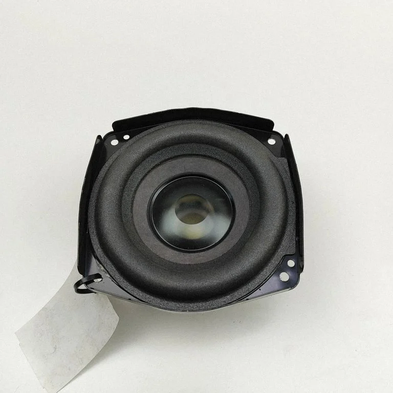 Subwoofer speaker N2436696Y