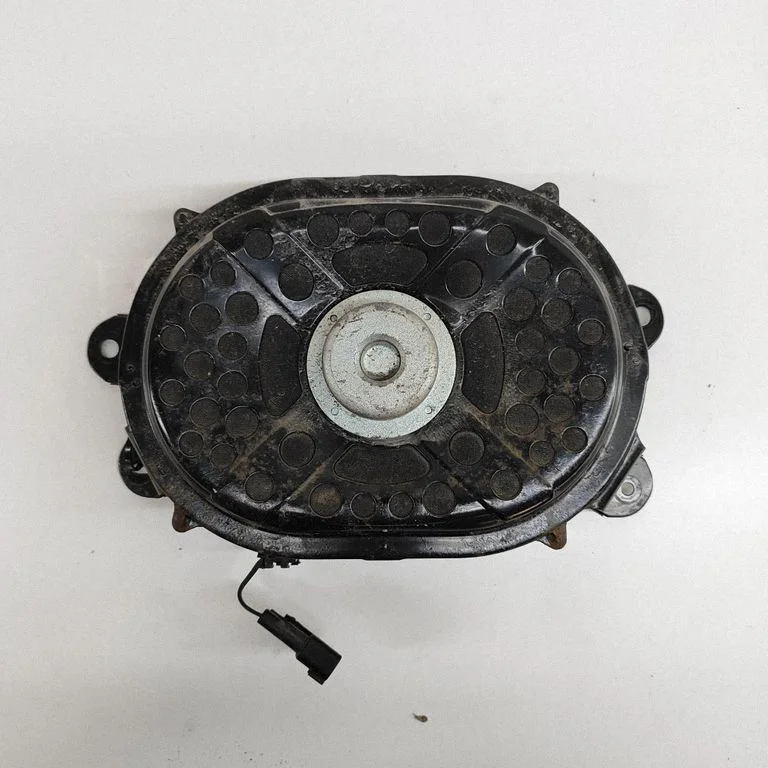 Zemfrekvences skaļrunis J9D318808AA