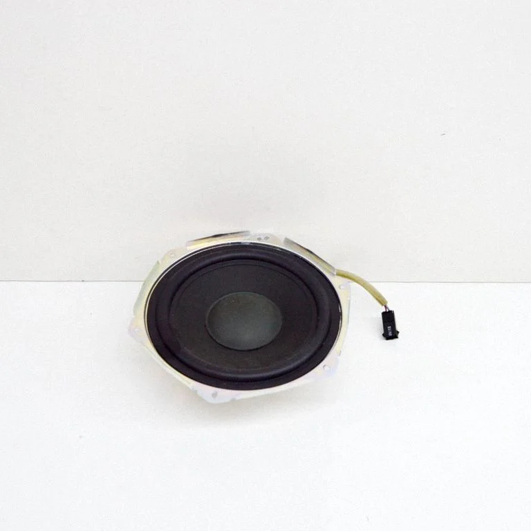 Subwoofer speaker – Tesla Model S (2012-)