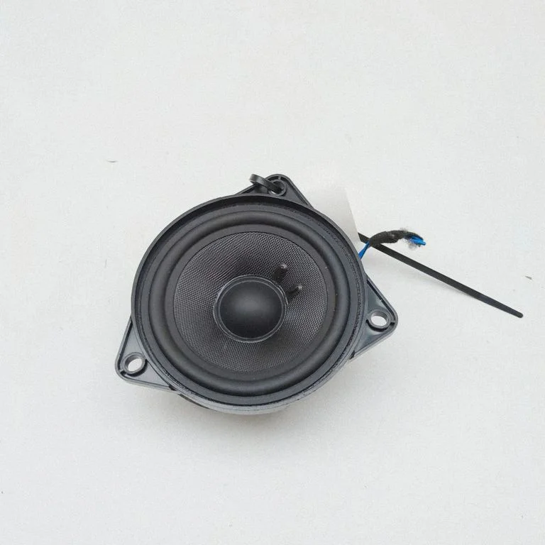 Panel speaker – Audi E-tron GT (2021-)