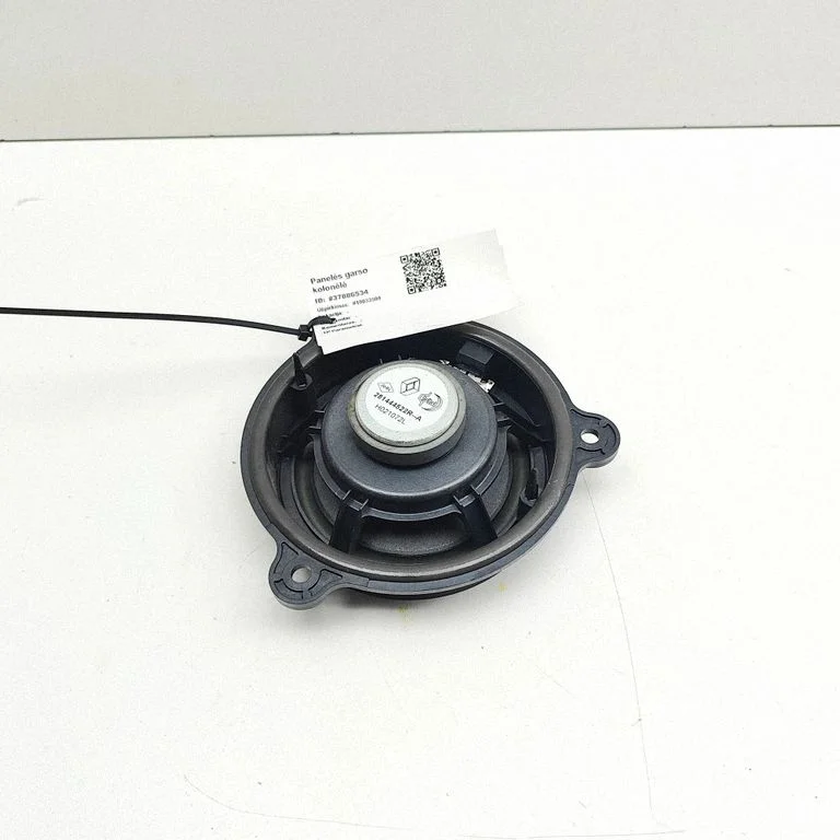 Panel speaker 281444522R