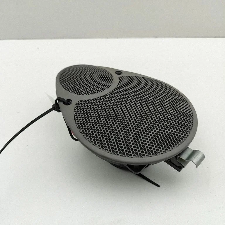 Garsiakalbis panelėje