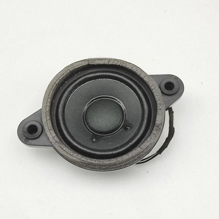 Panel speaker