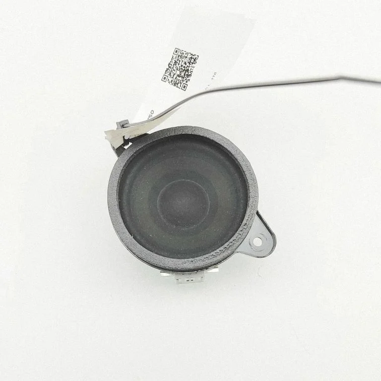 Panel speaker 8923028301A