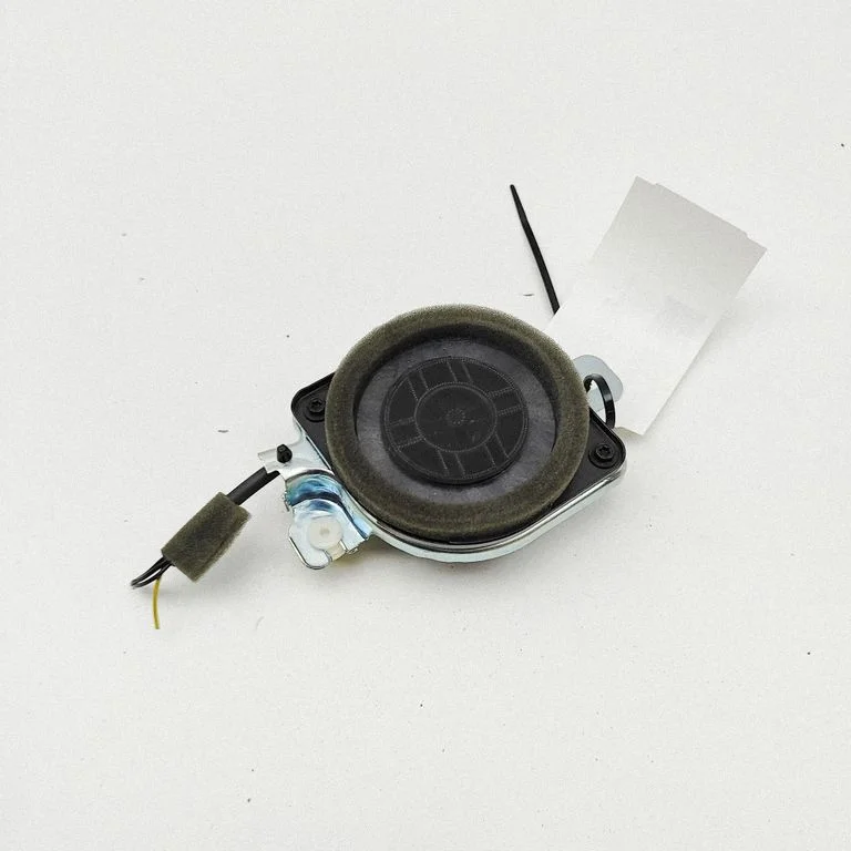 Armatuurlaua kõlar 861500W190