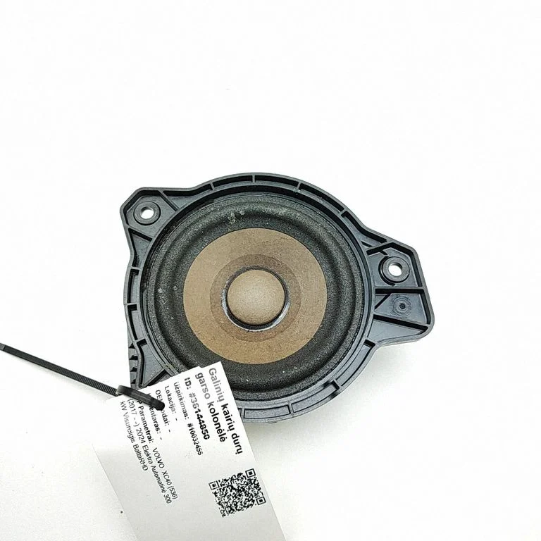 Skaļrunis panelī 31456871