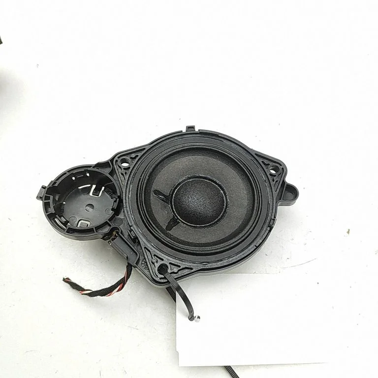 Skaļrunis panelī 971035415G