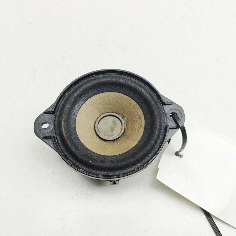 Panel speaker 100483301A