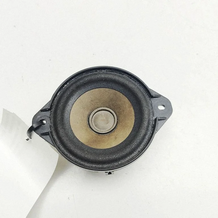 Panel speaker 100483301A