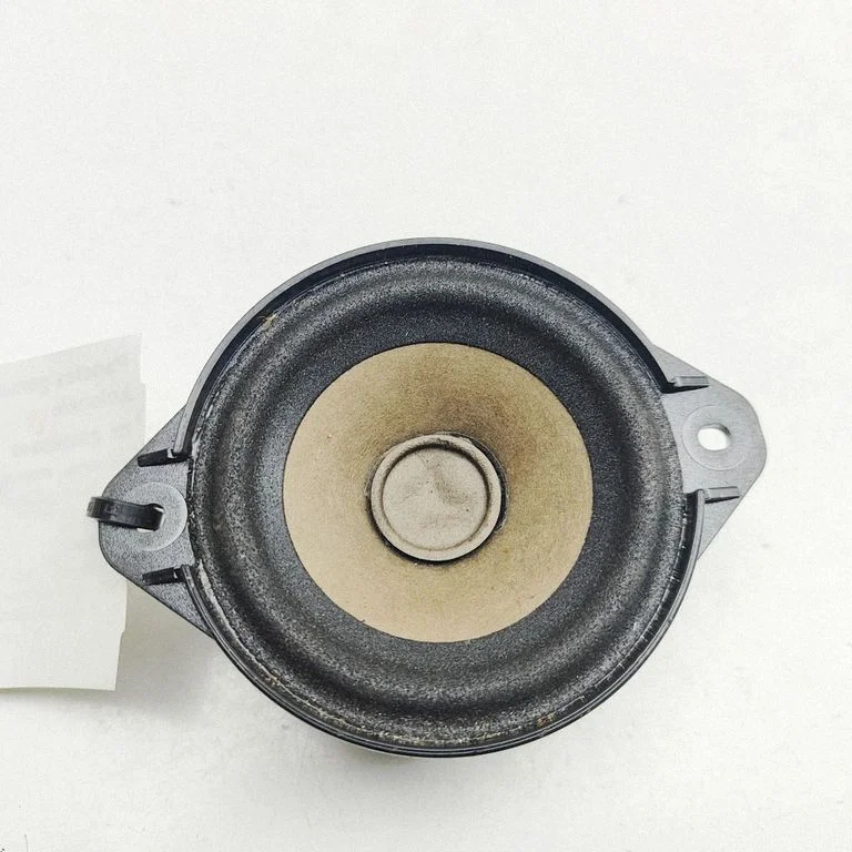 Panel speaker 100483301A