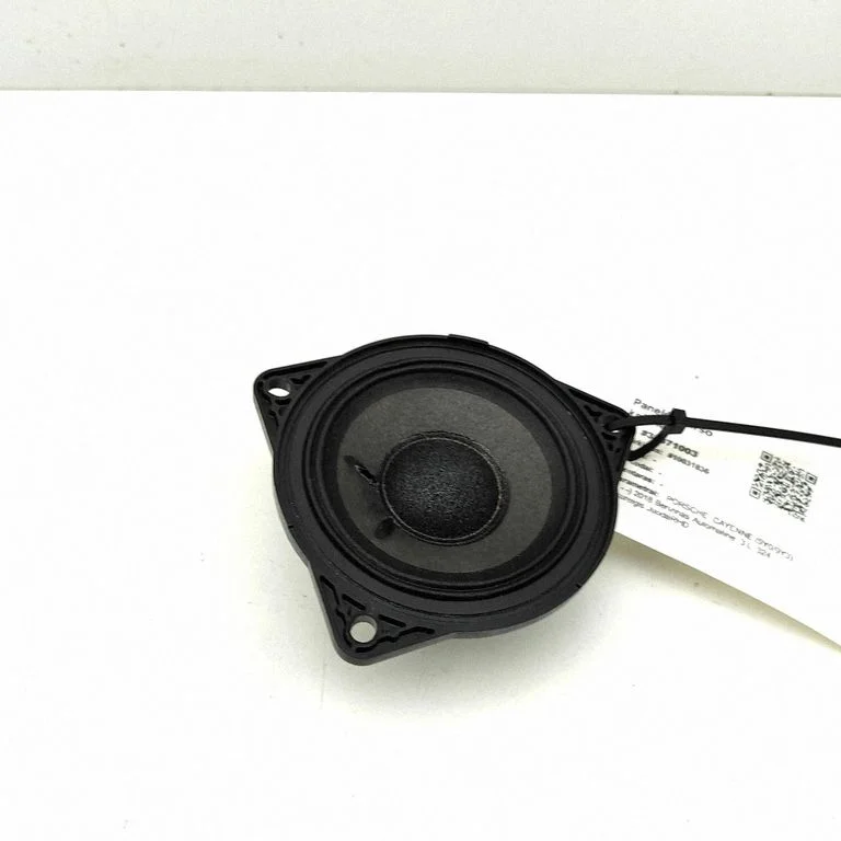 Panel speaker 971035415G