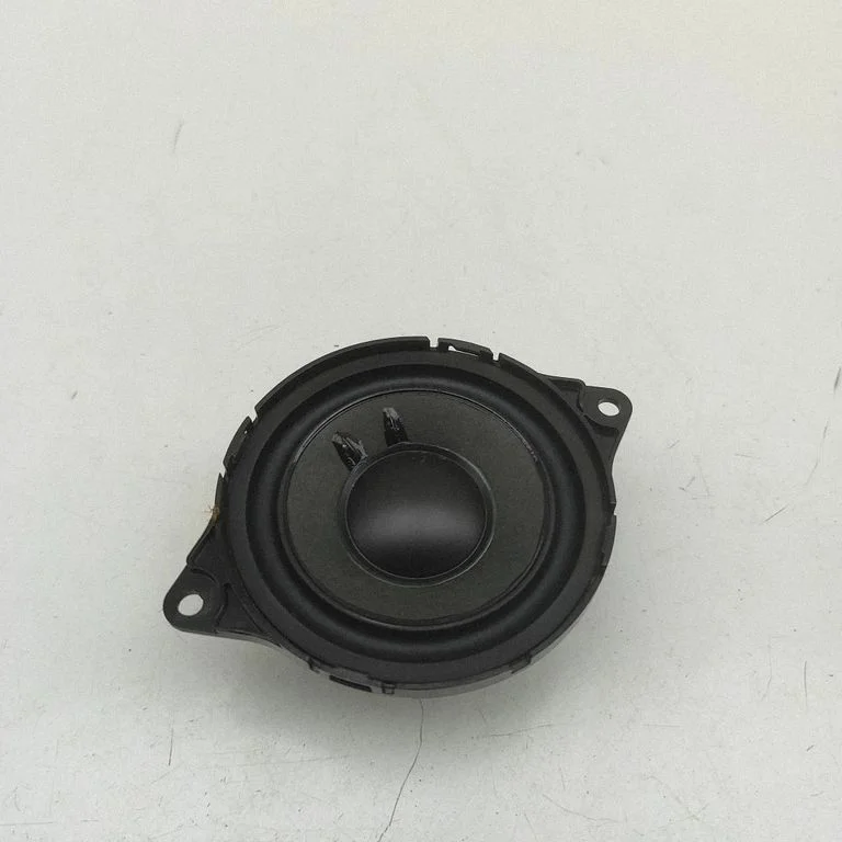 Skaļrunis panelī 8W8035454