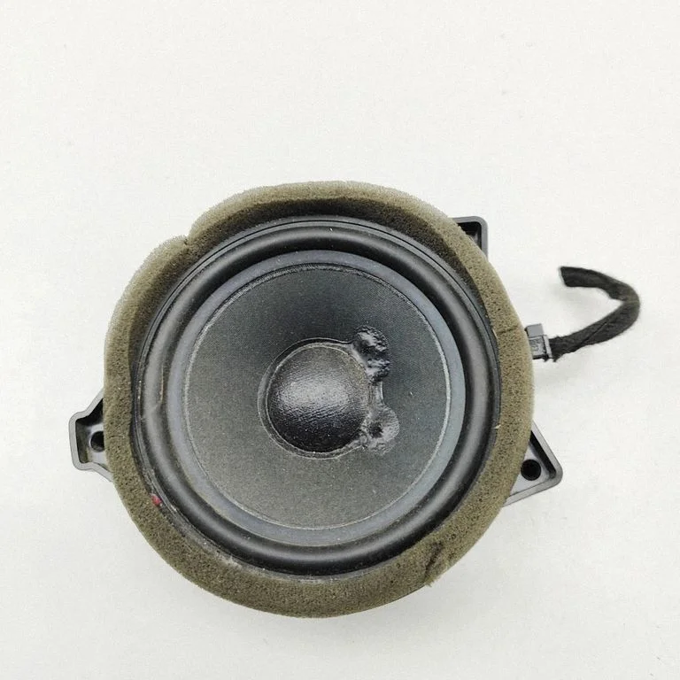 Panel speaker A2388206600