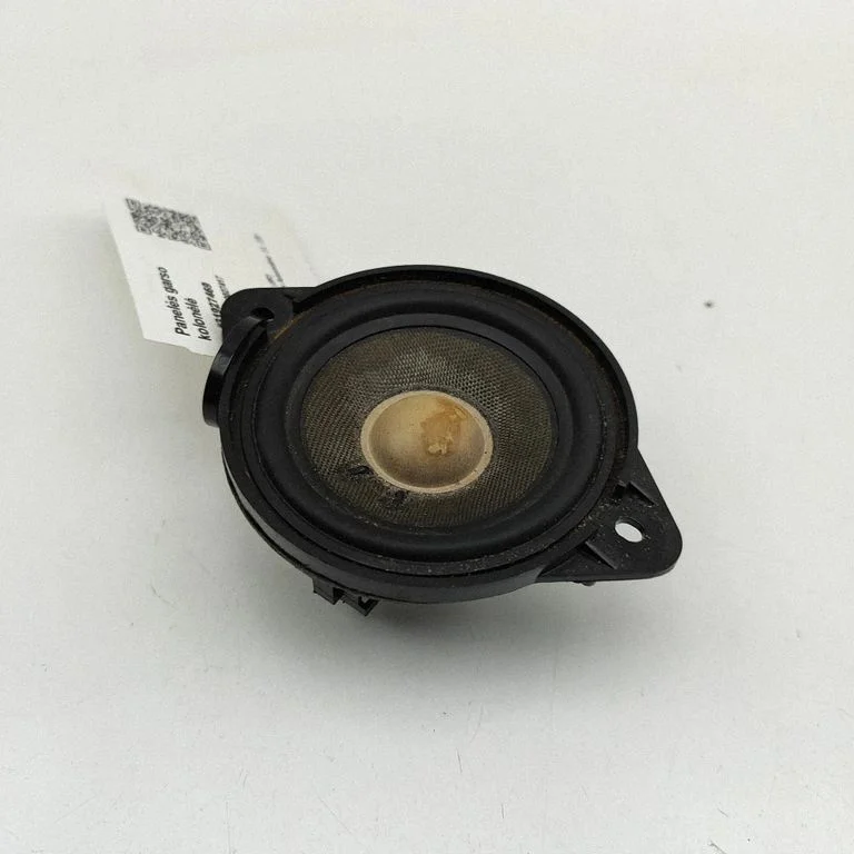 Skaļrunis panelī 8R0035416
