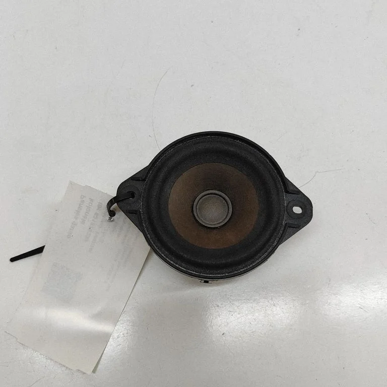 Panel speaker 100483301A