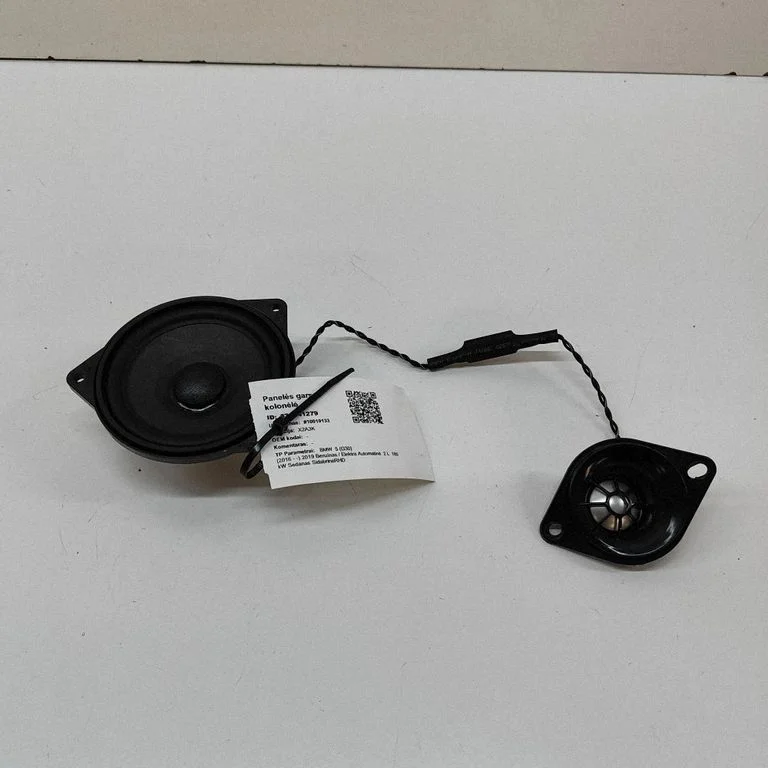 Skaļrunis panelī 9226358