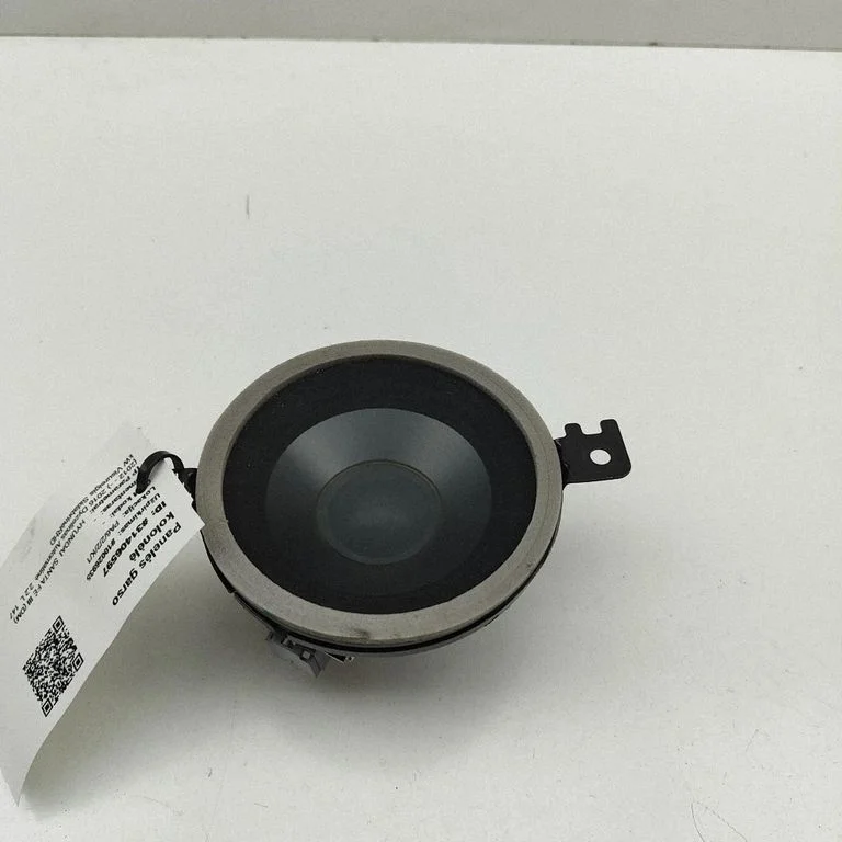 Skaļrunis panelī 963603R300