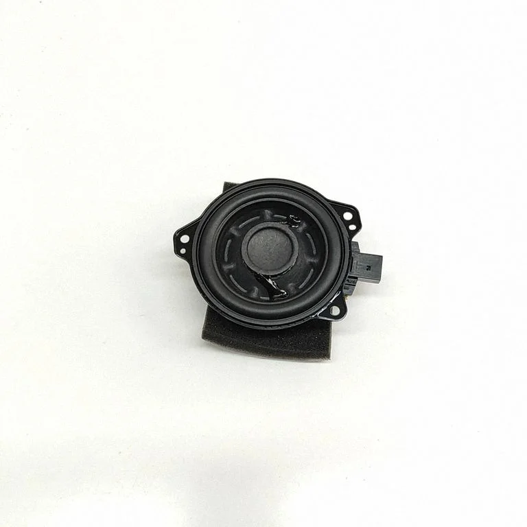 Panel speaker – Tesla Model Y (2020-)