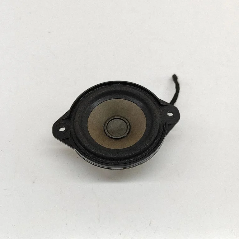 Armatuurlaua kõlar 100483301A
